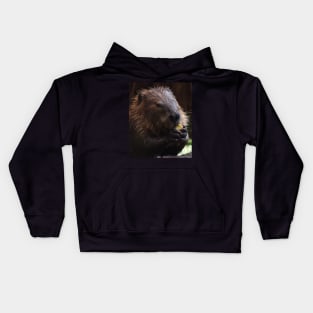 North America Beaver Kids Hoodie